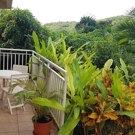 Villa En Pleine Nature Situee A 5Min D'Une Plage Le Gosier  Zewnętrze zdjęcie