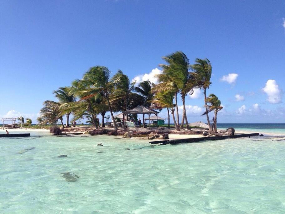 Villa En Pleine Nature Situee A 5Min D'Une Plage Le Gosier  Zewnętrze zdjęcie